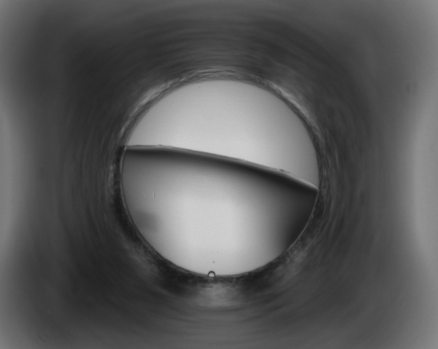 X0000084540111200703021452