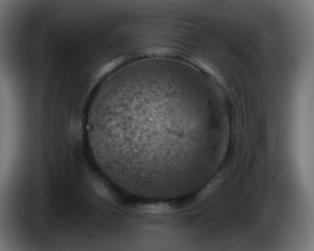 X0000084540112200703021452