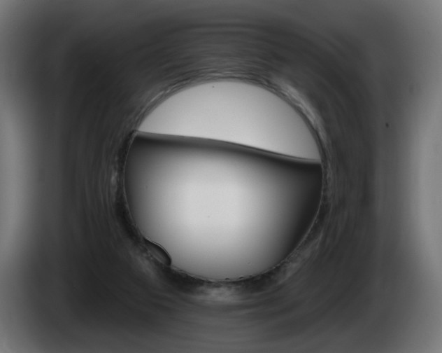 X0000084540113200703021452