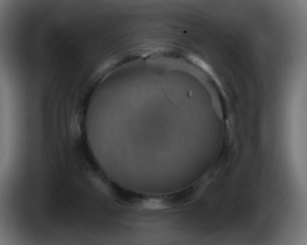 X0000084540114200703021452