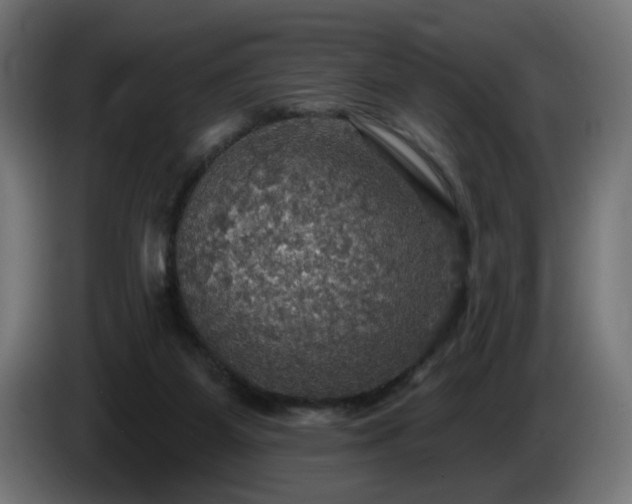 X0000084540115200703021452