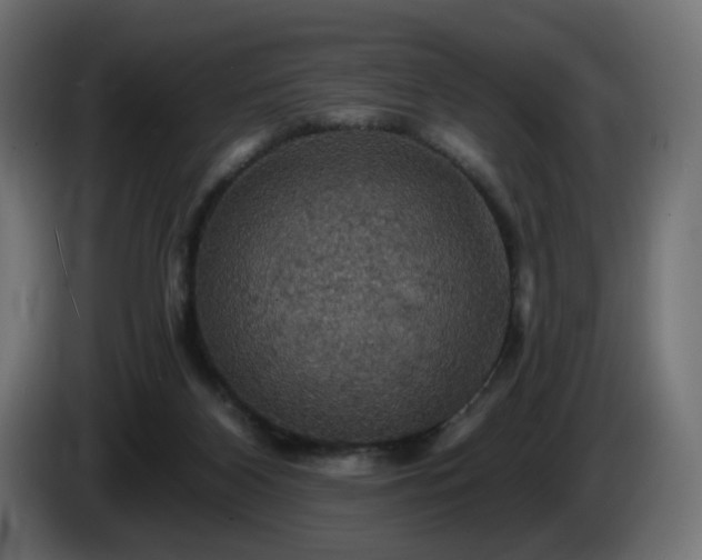 X0000084540116200703021452