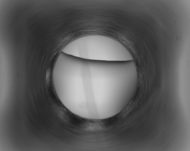 X0000084540118200703021452