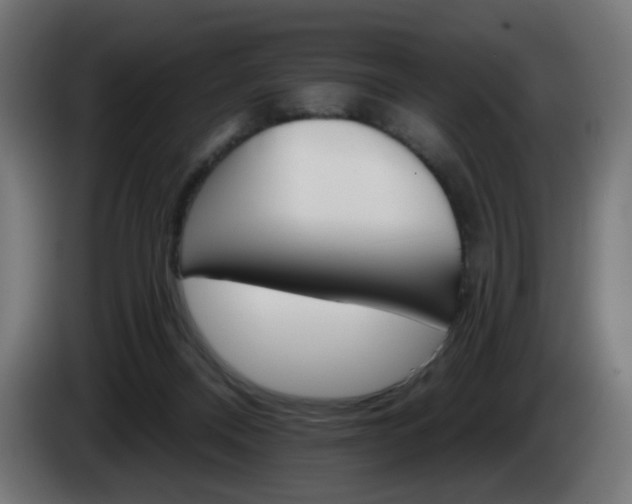 X0000084540120200703021452