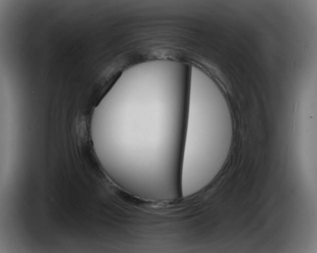 X0000084540121200703021452