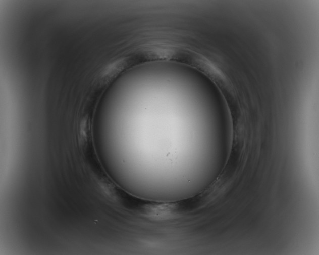 X0000084540122200703021452