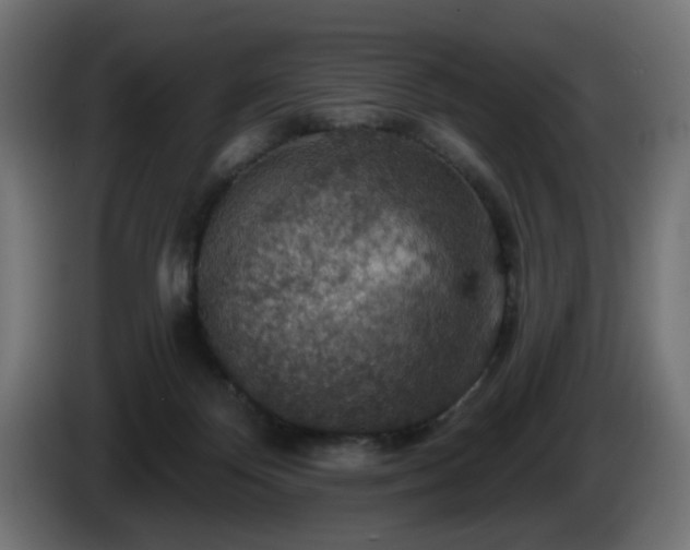 X0000084540124200703021452