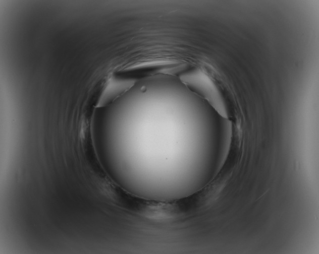 X0000084540125200703021452