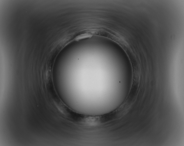 X0000084540126200703021452