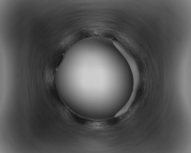 X0000084540129200703021452