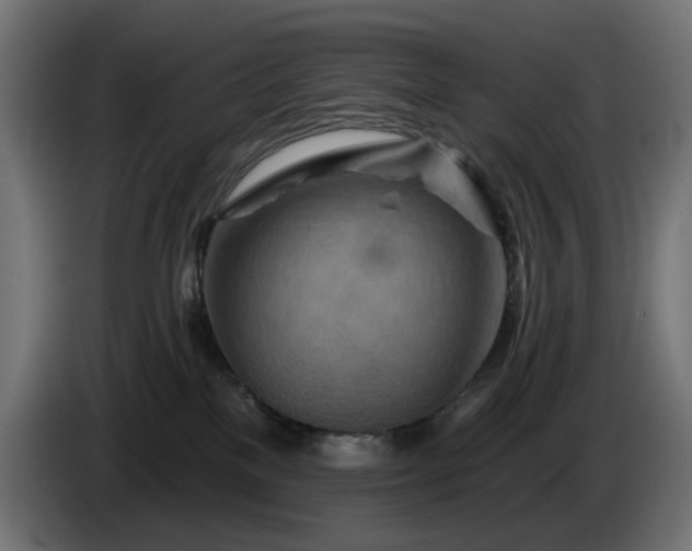 X0000084540137200703021452