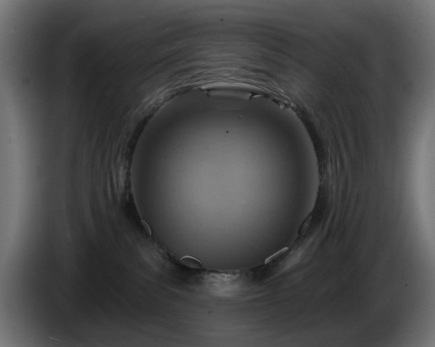 X0000084540139200703021452