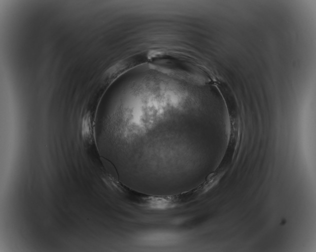 X0000084540143200703021452