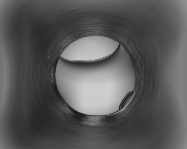 X0000084540144200703021452