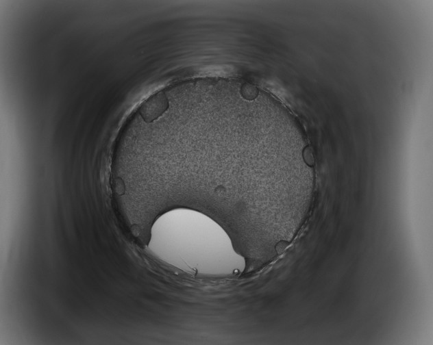 X0000084540146200703021451