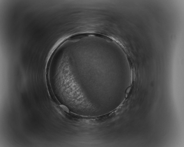 X0000084540147200703021451