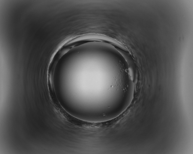 X0000084540148200703021451