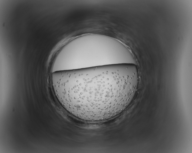 X0000084540149200703021451