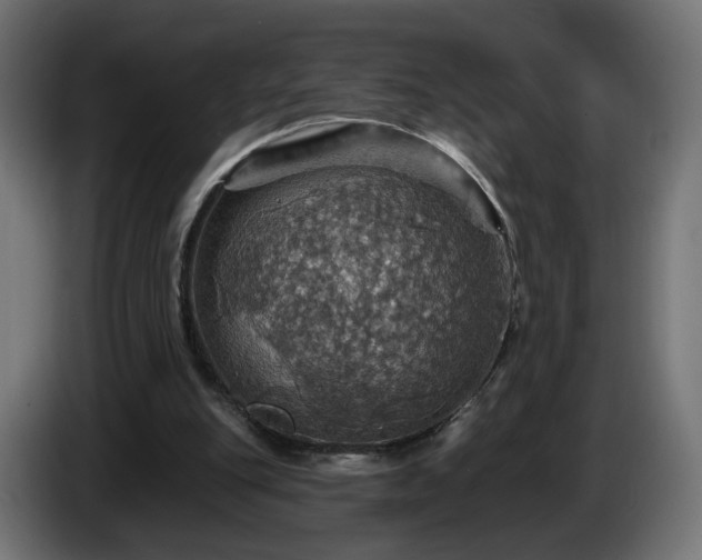 X0000084540151200703021451