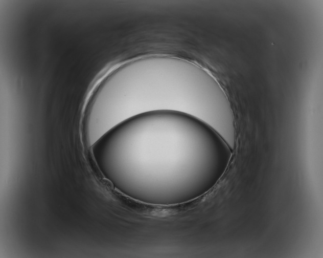 X0000084540152200703021451