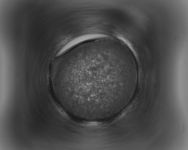 X0000084540153200703021451