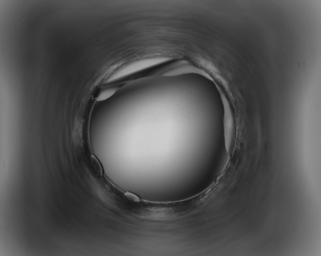 X0000084540154200703021451