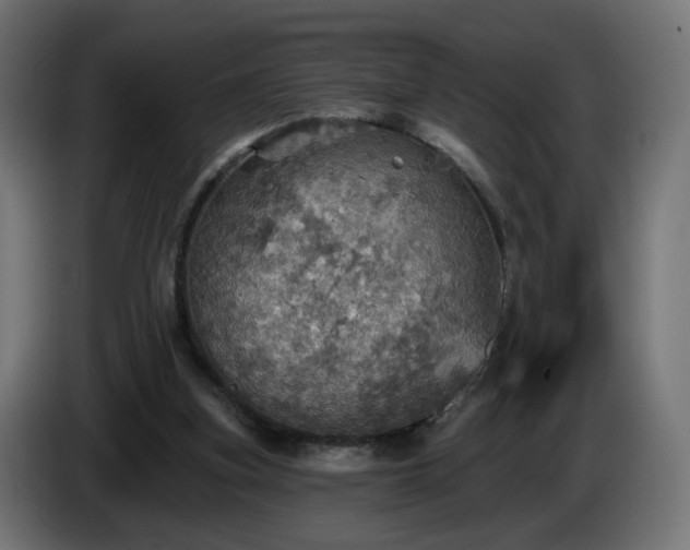 X0000084540155200703021451