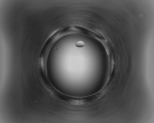 X0000084540160200703021451