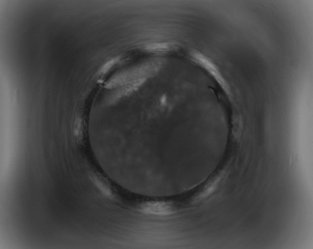 X0000084540161200703021451