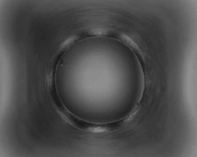 X0000084540163200703021451