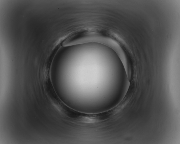 X0000084540164200703021451