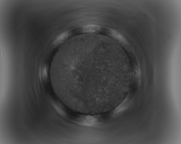 X0000084540166200703021452