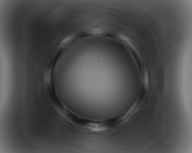 X0000084540167200703021452