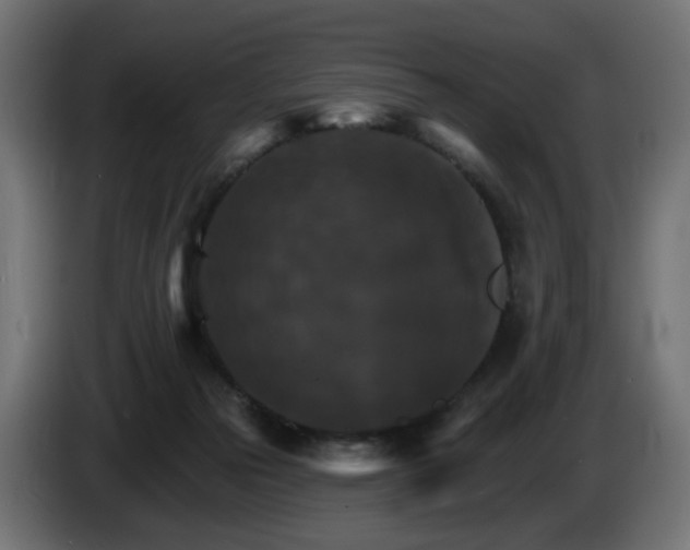 X0000084540169200703021452