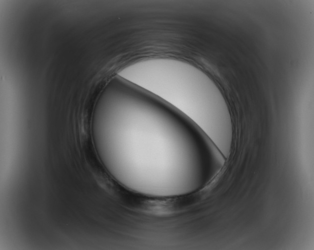 X0000084540170200703021452