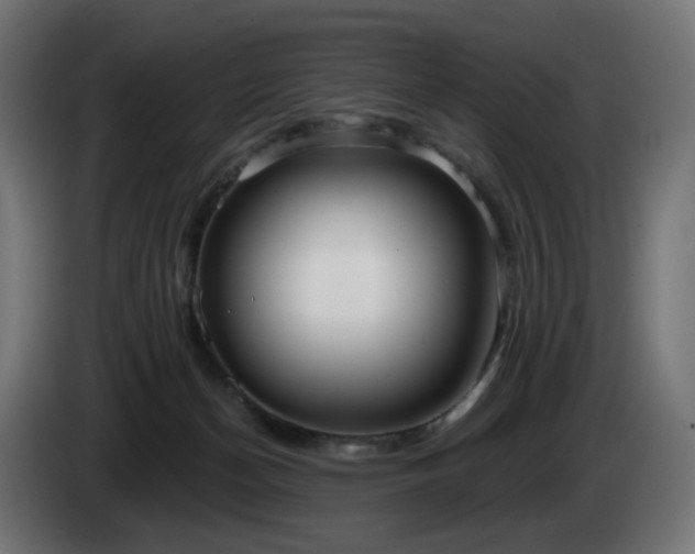 X0000084540174200703021452