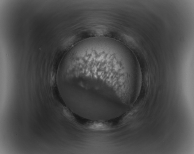 X0000084540177200703021452