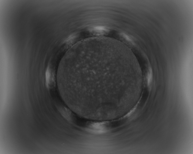 X0000084540178200703021452