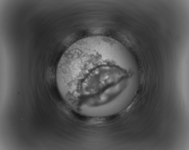 X0000084540179200703021452