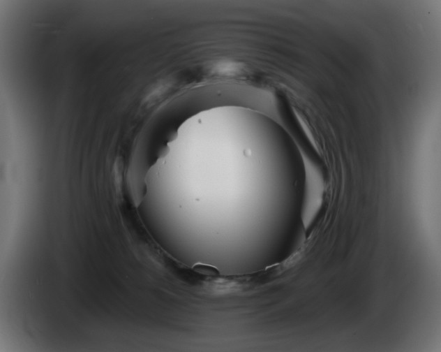 X0000084540180200703021452