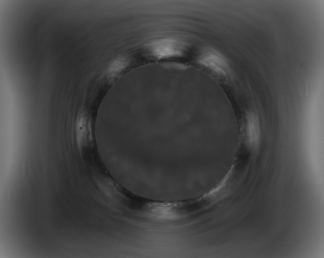 X0000084540182200703021452