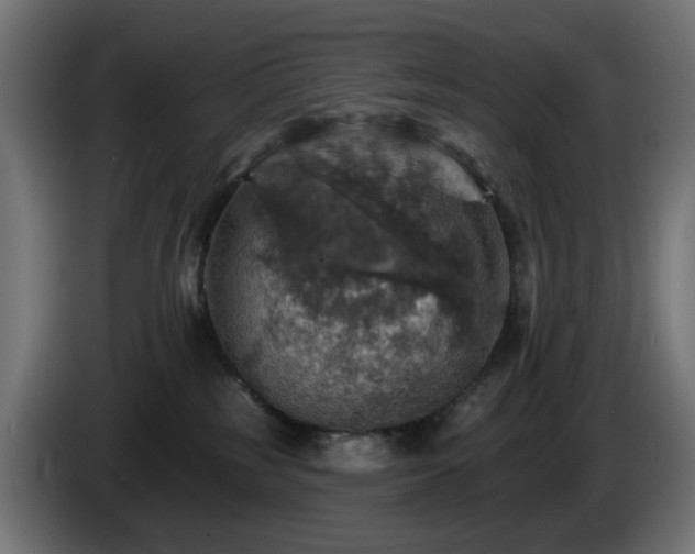 X0000084540185200703021452