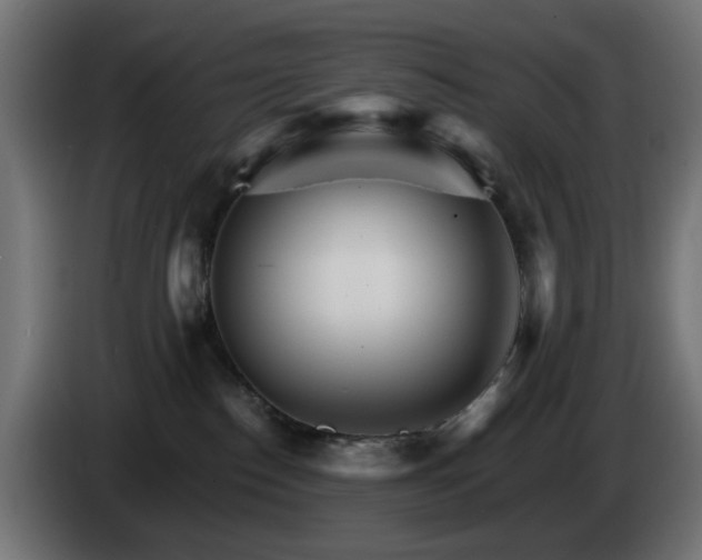 X0000084540186200703021452