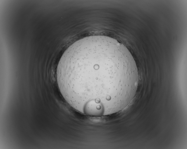 X0000084540187200703021452