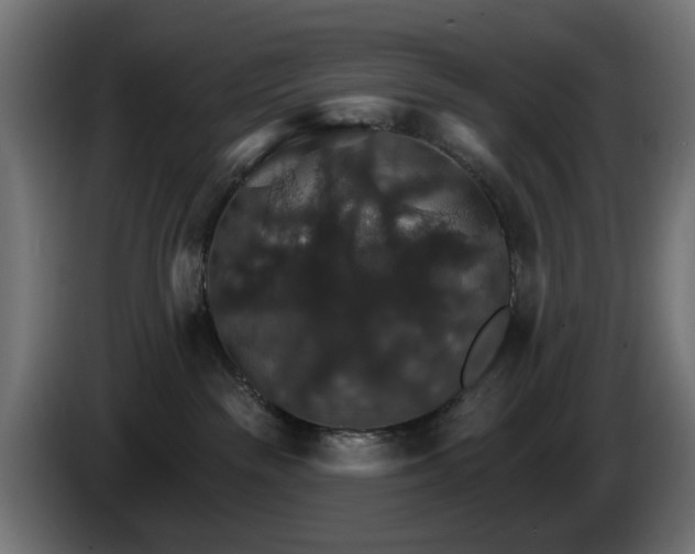 X0000084540189200703021452