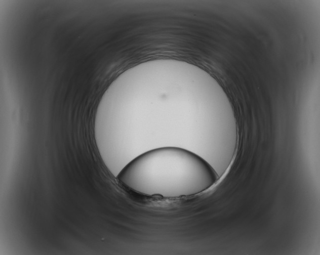 X0000084540190200703021452