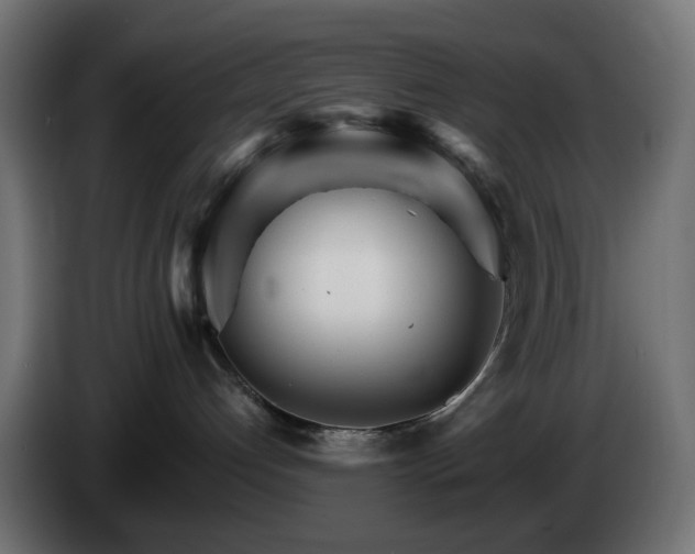 X0000084540192200703021452