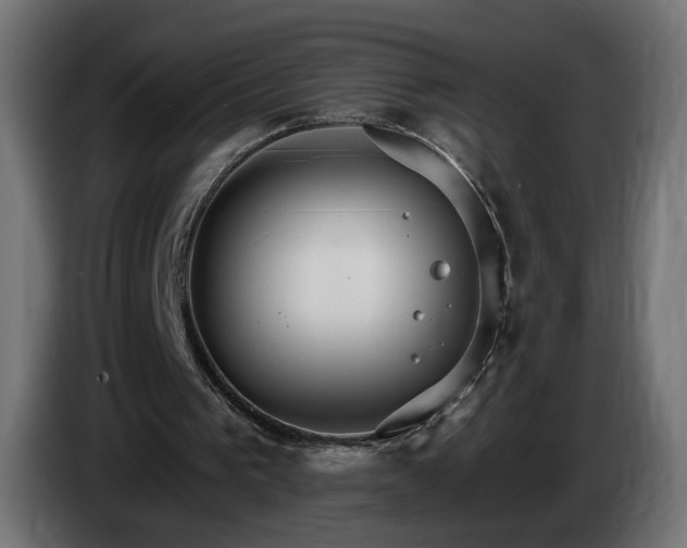 X0000084540193200703021451