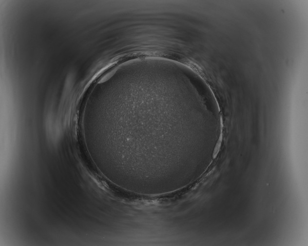 X0000084540194200703021451