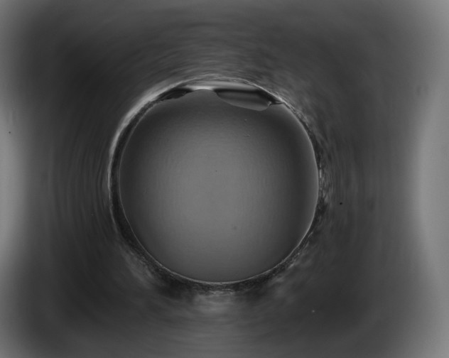 X0000084540196200703021451